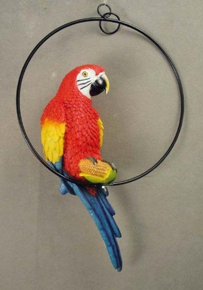 Red Parrot on Ring