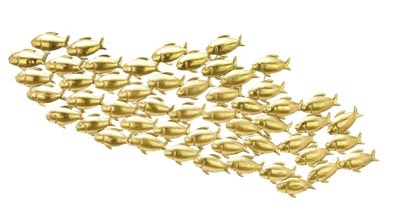 School Of Fish Metal Wall Sculpture Globe Imports School Of Fish Metal Wall Sculpture
