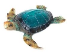 15 3/4 Inches Long Blue Polystone Turtle Figurine
