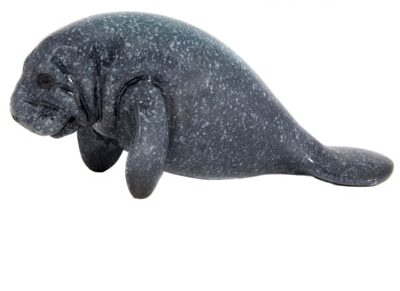 7 Inches Long Blue Manatee