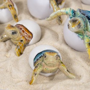 Baby Turtle Eggs