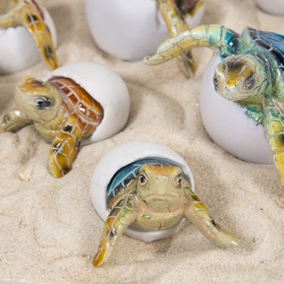 Creating More Sales with a Baby Turtle Nursery