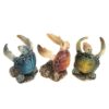 Turtle Holders