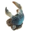 WW-401-Blue-Turtle-Holder