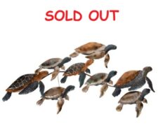 41 1/4 Inches Wide x 22 Inches High Metal Turtles Wall Sculpture