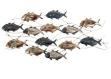 36 1/2 Inches Wide School of Fish Wall Decoration