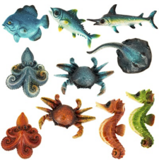 Assorted Sea Creature Magnet