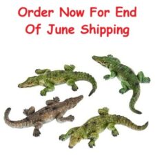 Assorted Alligator Magnet