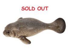 Grey Manatee Magnet