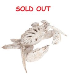 11 Inches Wide Coral Look Crab