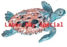 13 Inch Long Coral Look Colored Sea Turtle