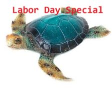 15 3/4 Inches Long Blue Polystone Turtle Figurine