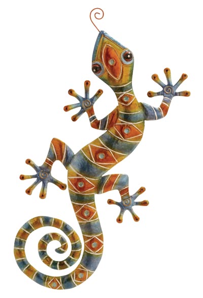 Colorful Wall Lizard