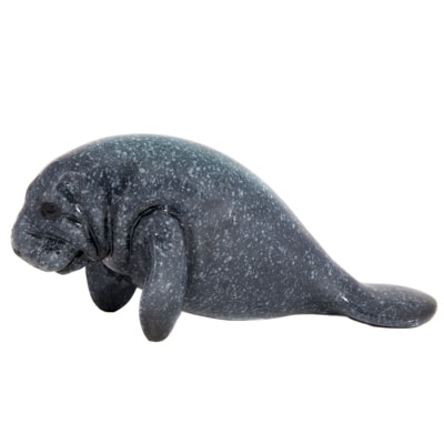 Blue Manatee