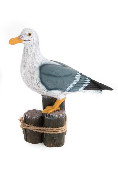 Seagull Perched on Posts