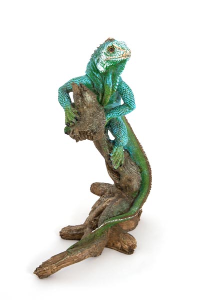 Iguana Climbing on Branch - Image 2