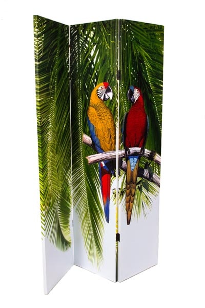Parrots and Palm Screen