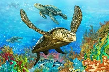 Sea Turtles Canvas Print