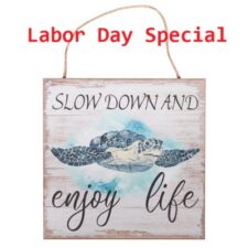 Slow Down Turtle Sign