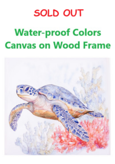 19 3/4 Inches Square Assortment Of Three Turtle Water-Proof Color Canvas Print Wall Art