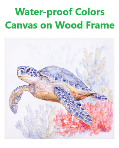 19 3/4 Inches Square Assortment Of Three Turtle Water-Proof Color Canvas Print Wall Art