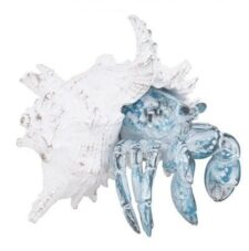 7 Inches Wide White-Washed Blue Crab in Shell