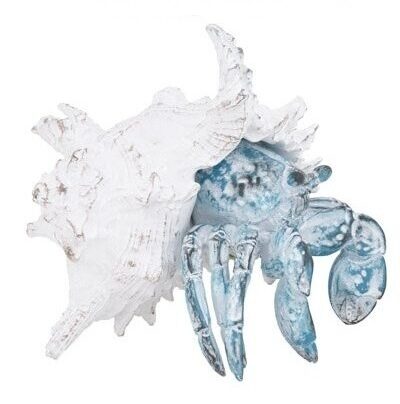 7 Inches Wide White-Washed Blue Crab in Shell