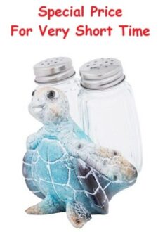 3 1/2 Inches High Blue Turtle Salt & Pepper Set