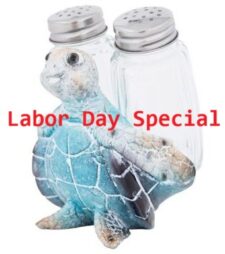 3 1/2 Inches High Blue Turtle Salt & Pepper Set