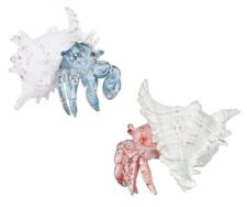 7 Inches Wide Assorted Crab in Shell