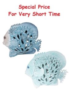 10 3/4 Inches High Assorted Tropical Fish