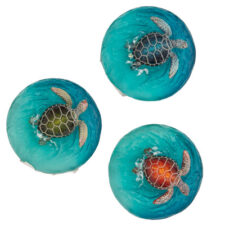 1 3/4 Inches Wide Assorted Turtle Ocean Magnet