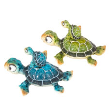 4 1/2 Inches Long Assorted Big-Eyed Turtle with Baby
