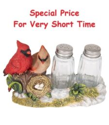 6 1/4 Inches Wide Cardinals Nest Salt & Pepper Set
